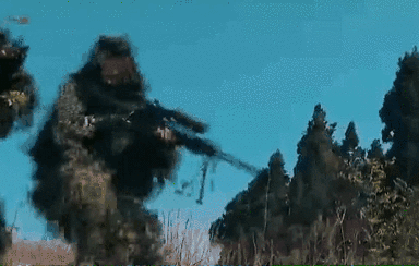 突入，擊斃！直擊武警特戰(zhàn)反劫持演練！