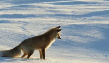 寒潮再襲 網(wǎng)友靈魂拷問：這么冷為何還不下雪？