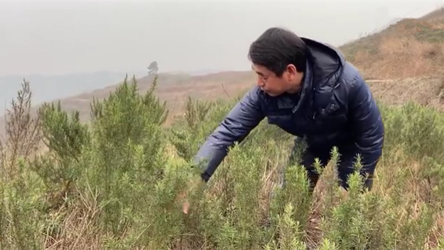 新春走基層｜脫貧后，駐村扶貧隊長在干啥？