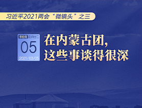 習(xí)近平2021兩會&ldquo;微鏡頭&rdquo;之三 3月5日 在內(nèi)蒙古團(tuán)，這些事談得很深