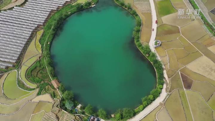 稻田新插，這里的山村美翻了！