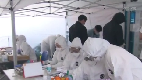 韓國(guó)專(zhuān)家呼吁嚴(yán)防&ldquo;德?tīng)査?&rdquo;毒株