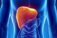 【健康解碼】轉(zhuǎn)氨酶輕度升高要不要緊？