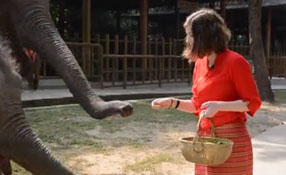 勐巴拉娜西！&ldquo;洋記者&rdquo;帶你游西雙版納