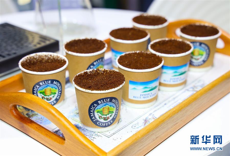 （新華全媒頭條&middot;圖文互動）（15）人間正道 浩蕩前行&mdash;&mdash;習(xí)近平主席出席首屆中國國際進(jìn)口博覽會紀(jì)實