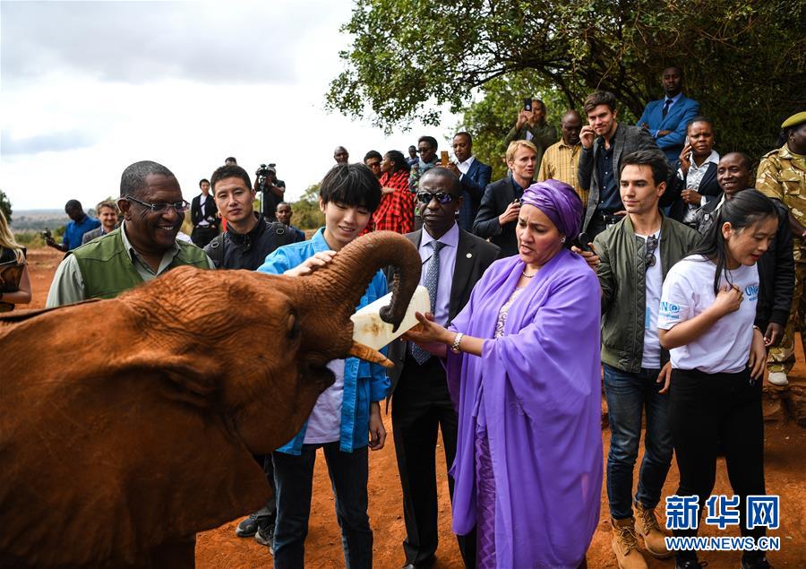 （國(guó)際&middot;圖文互動(dòng)）（1）專(zhuān)訪(fǎng)：環(huán)保要以身作則 從身邊小事做起&mdash;&mdash;訪(fǎng)聯(lián)合國(guó)環(huán)境署親善大使王俊凱