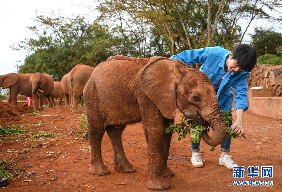 （國(guó)際&middot;圖文互動(dòng)）（2）專(zhuān)訪(fǎng)：環(huán)保要以身作則 從身邊小事做起&mdash;&mdash;訪(fǎng)聯(lián)合國(guó)環(huán)境署親善大使王俊凱