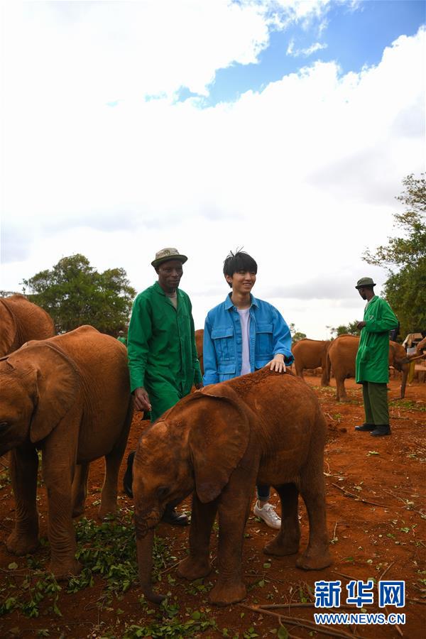 （國(guó)際&middot;圖文互動(dòng)）（3）專(zhuān)訪(fǎng)：環(huán)保要以身作則 從身邊小事做起&mdash;&mdash;訪(fǎng)聯(lián)合國(guó)環(huán)境署親善大使王俊凱