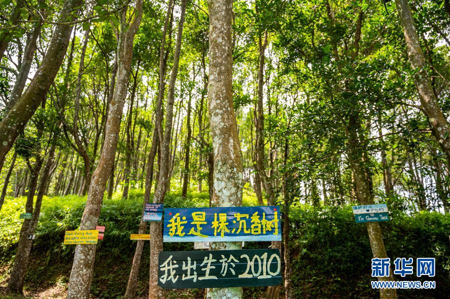 （第三屆進(jìn)博會(huì)&middot;圖文互動(dòng)）（10）專訪：進(jìn)博會(huì)提供了一個(gè)共享中國發(fā)展機(jī)遇的平臺(tái)