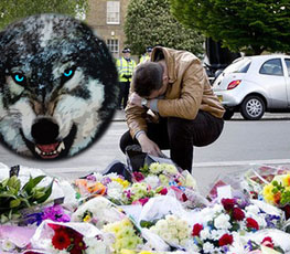 血案頻發(fā) "獨狼"緣何兇猛？